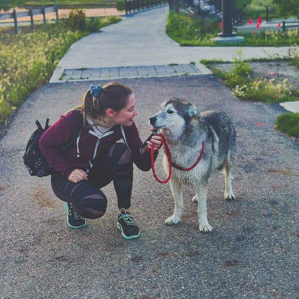 receptionist at wood buffalo animal hospital