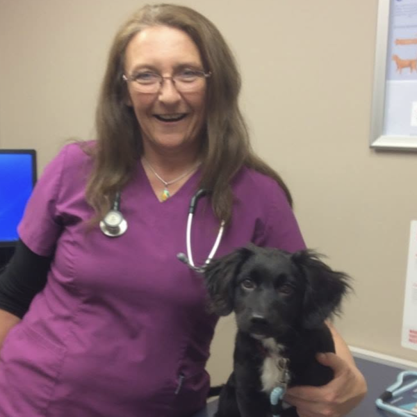 dr. spiker, wood buffalo small animal hospital veterinarian
